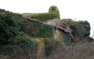 An old, antique, abandoned, dilapidated, Tuscan, fairytale house surrounded by an overgrown garden