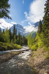 upper mcdonald creek with mountain background, glacier national park, montana - obrazy, fototapety, plakaty