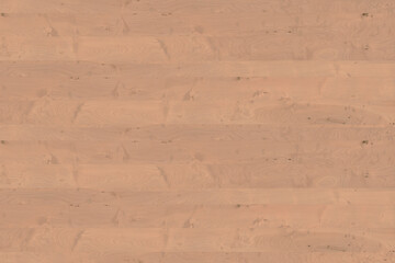 Obraz premium birch wooden background texture structure backdrop