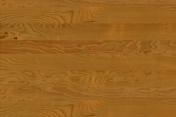 birch wooden background texture structure backdrop