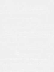 pale bleached wood surface texture background backdrop