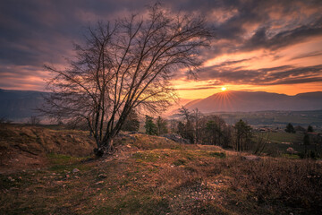 Early spring at sunrise in Eppan an der Weinstrasse in South Tyrol