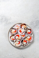 Obraz na płótnie Canvas Seafood. Shellfish. Raw scallops with lemon and cilantro on gray plate , gray background