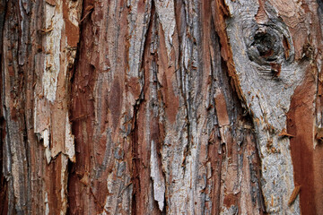 old vintage rustic grunge wood surface