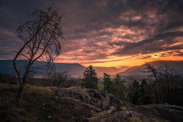 Early spring at sunrise in Eppan an der Weinstrasse in South Tyrol