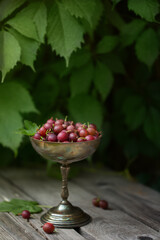 Fototapeta na wymiar Ripe gooseberries in a vase on a wooden table, outdoors
