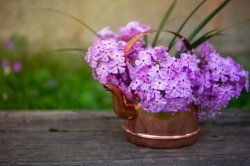 Pink phloxes in a copper teapot on a wooden table in the garden. Summer bouquet