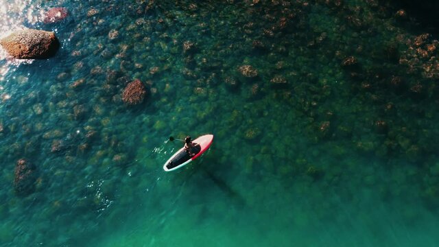 Aerial view.  stand up paddle board girl on a tropical beach, sup on reef, drone image