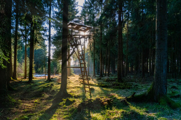 Jägerstand im Wald bei Sonnenuntergang