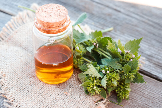 Ballota nigra, black horehound fresh flowers collected in meadow and a ready-made elexir or medicinal drink in a transparent jar. collect herbs for preparation of tincture. mortar to rub flowers.