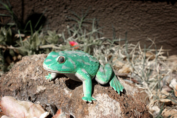 plastic toy frog on rock in garden