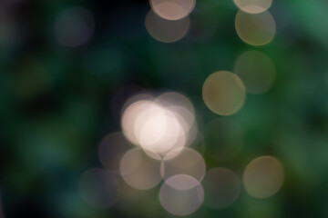 Abstract bokeh with nature light effect background.