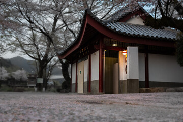 Obraz premium japanese temple