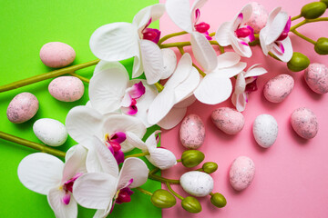 Pink and white Easter eggs and flowers on pink and green background. Spring holidays concept