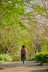 春の桜満開の公園で自転車を乗っている中高年女性の姿