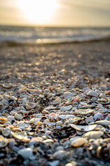 pebbles on the beach