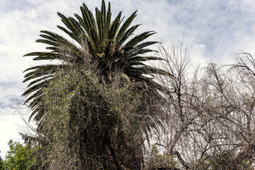 Parque Chapultepec Ciudad de M&eacute;xico