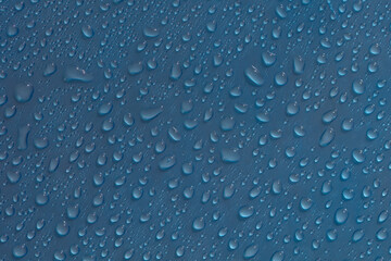 Abstract water drops texture. Wet raindrops on glass blue background. Bubble pattern.