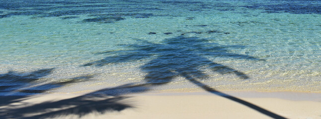 shadow of coconut tree in turquoise waters and white sand 