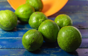 Natural avocado fruits (Persea americana) on blue wooden surface