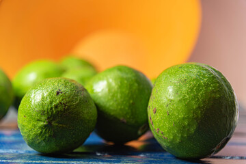 Natural avocado fruits (Persea americana) on blue wooden surface