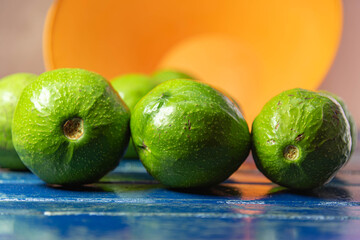 Natural avocado fruits (Persea americana) on blue wooden surface