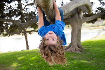 Little kid boy on a tree branch. Climbing and hanging child. Portrait of a beautiful kid in park among trees. Extreme kid sport. Child climbs a tree