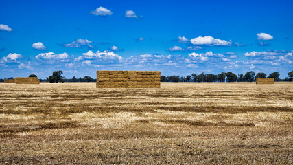 Large Hay Bale Stacks in a Field Near Savernake