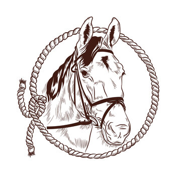 Horse Head And Rope Vector Illustration. Perfect For Ranch And Stable Logo