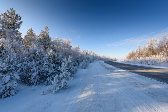 Winter rural road in Siberia. The trees along the road are covered with snow