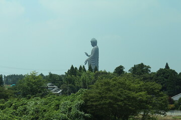 Giant Buddha Statue Over Trees