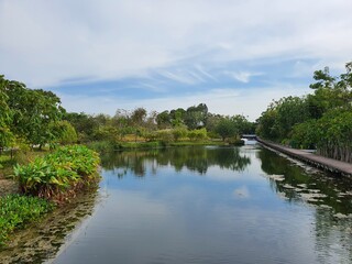 Obraz premium lake in the park