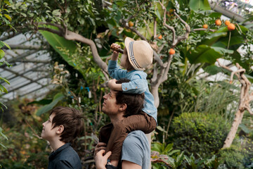 Adventurous family inspecting tropical gallery in Botanical garden. Local travel