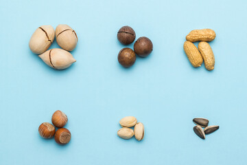 Neatly arranged two rows of different nuts on a blue background. Flat lay.