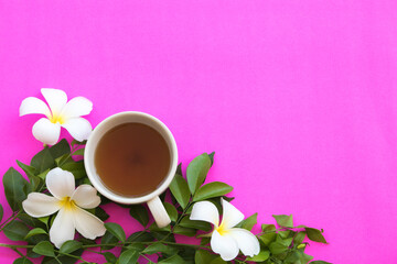 Obraz na płótnie Canvas herbal healthy drinks hot tea with white flowers frangipani arrangement flat lay postcard style on background pink