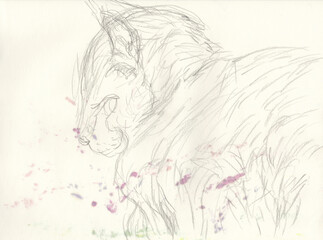 sketch of a horse