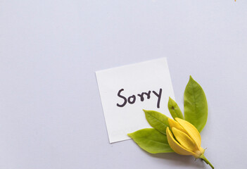 sorry message card handwriting with yellow flowers ylang ylang arrangement flat lay postcard style on background white