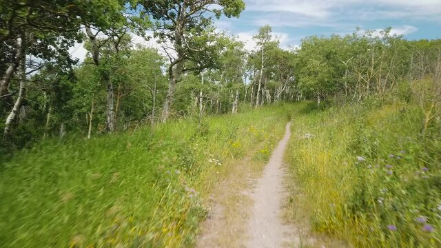 Hiking Trail Towards Vimy Peak in Waterton National Park of Canada