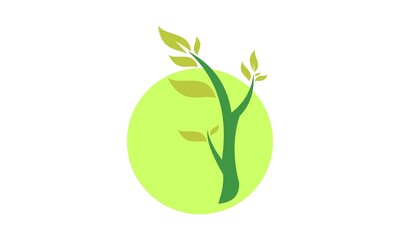 beauty leaf nature logo