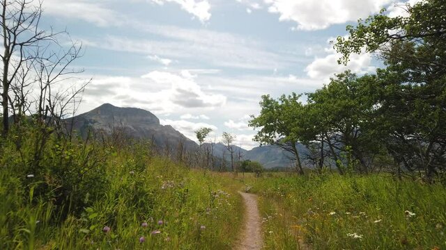 Hiking Trail Towards Vimy Peak in Waterton National Park of Canada