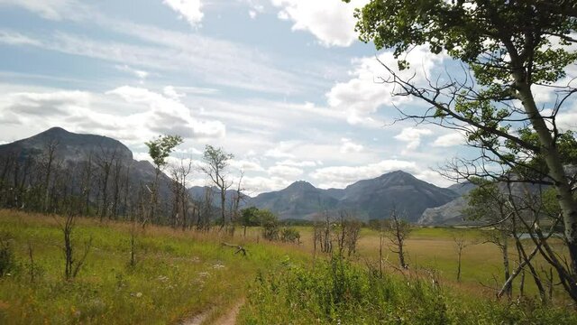Hiking Trail Towards Vimy Peak in Waterton National Park of Canada