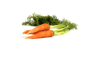 Carrot with white back