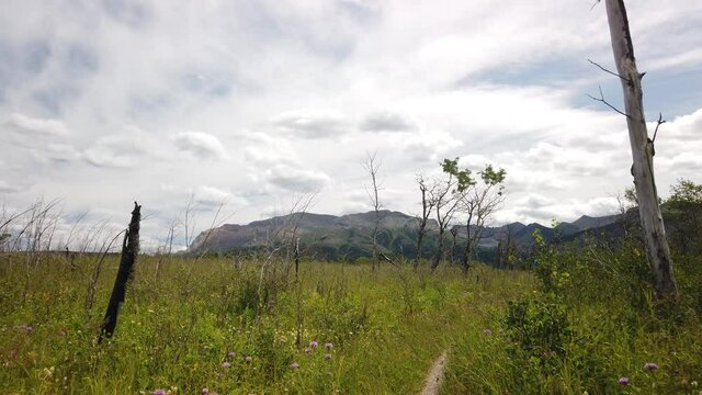 Hiking Trail Towards Vimy Peak in Waterton National Park of Canada
