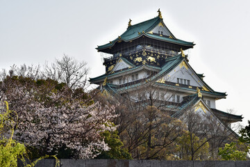 春の大阪城と桜