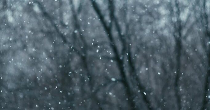 Falling snow on blurred  background. Snow falling in slow motion. Winter snowfall. winter landscape