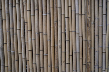 Fototapeta premium wall collection 26