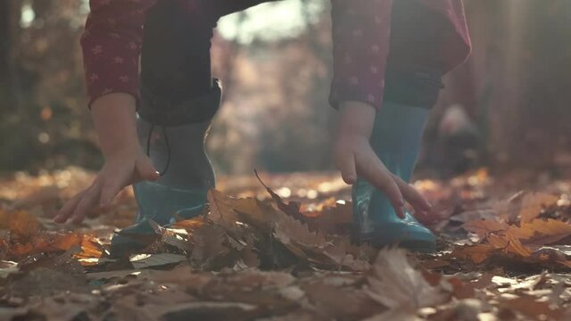 Autumn time. Unidentified little girl with golden hair takes the yellow foliage in their hands in the park in autumn. Kid play with dry leaves․ slow motion.