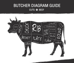 Cut of beef set. Poster Butcher diagram and scheme - Cow. Vintage typographic hand-drawn. Vector illustration