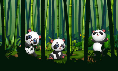 Naklejka premium Cute three of pandas in the bamboo forest