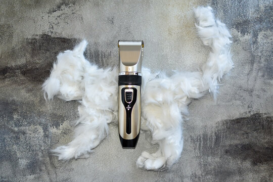Hair trimmer and white animal fur. wool is laid out in shape of cat. Working tool, pet care, haircut cat. bunch of cat hair after grooming in form of cat. removal of cess animal hair during molting.